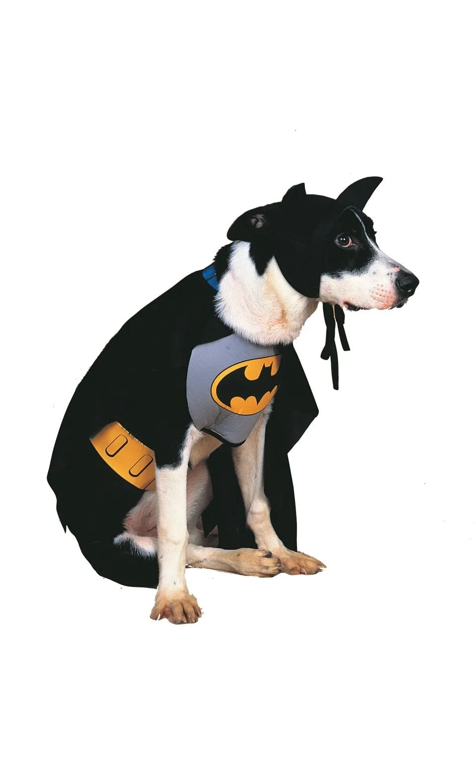 Batman Dog Costume Classic Superhero Pet